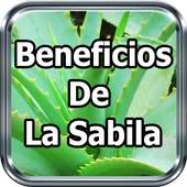 Beneficios De La Sabila