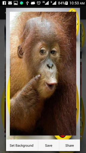 Funny Pictures screenshot 7