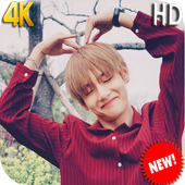 BTS V Kim Taehyung Wallpapers icon
