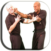 Best Wing Chun Technique icon