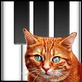 Cat Piano For Free