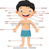 Body parts english for kids icon