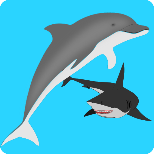 Dolphin Adventure icon