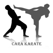 Cara Karate icon