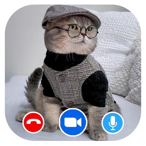 Cat fake video call icon