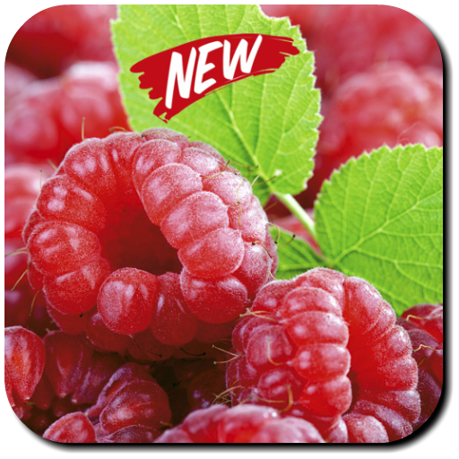 Fruit Wallpaper icon