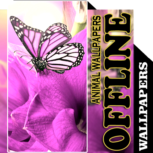 Animal Wallpaper Offline | Cute Animal icon