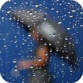 Rain Live Wallpaper : 3D on 9Apps