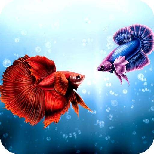 Betta Fish Wallpaper icon