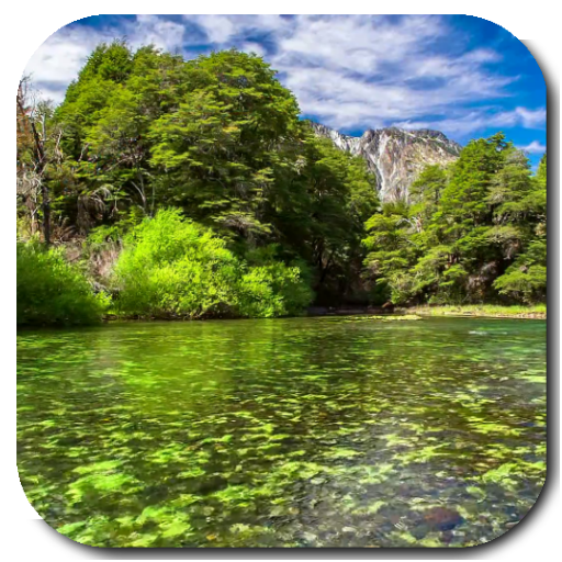 River Video Live Wallpaper أيقونة