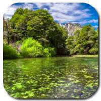 River Video Live Wallpaper on 9Apps