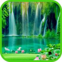 Daily Blessings Scripture Monday to Sunday