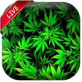 Weed Live Wallpaper on 9Apps