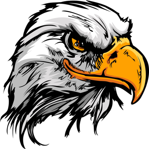 Eagle Drone View Pro icon