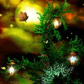 Tree In Night LWP on 9Apps