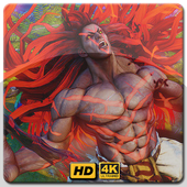 Street Fighter Wallpaper HD icon