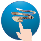 Scratch and guess picture Free icon