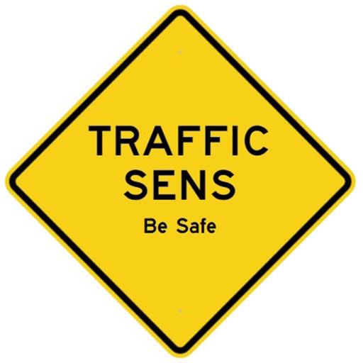 Traffic Sens icon