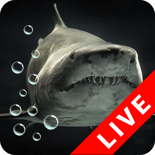 Animals Underwater Wallpaper icon