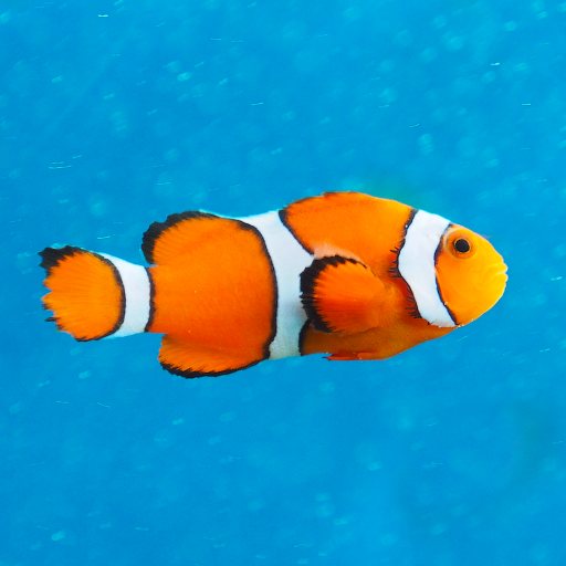 Рыбы - энциклопедия для детей icon