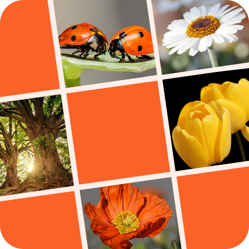 Facedoku - Sudoku with Pictures and Images icon