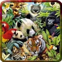 800 Best animals ringtones