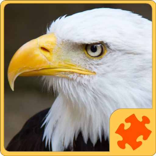 Birds Puzzle आइकन