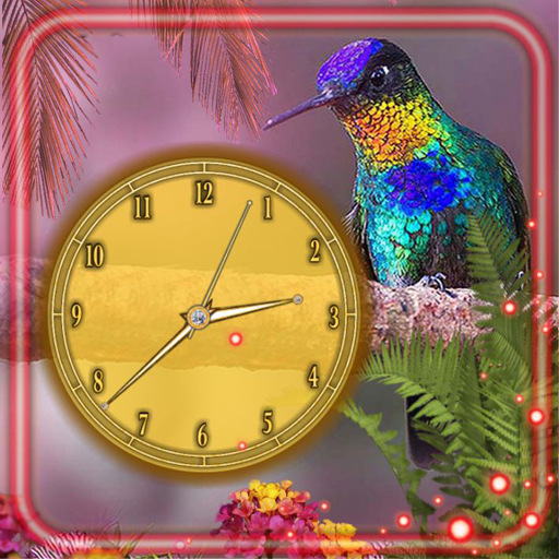 Colibry Clock أيقونة