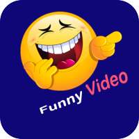 Funny Videos for Laughing