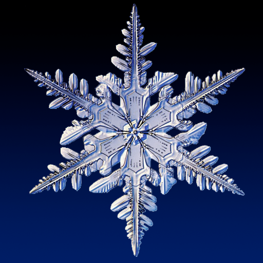 Real Snow Live Wallpaper icon