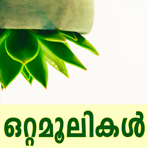 Ottamoolikal icon