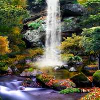 3D Autumn Waterfall Wallpaper on 9Apps