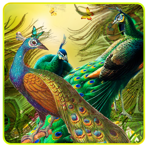 Peacock Live Wallpaper icon
