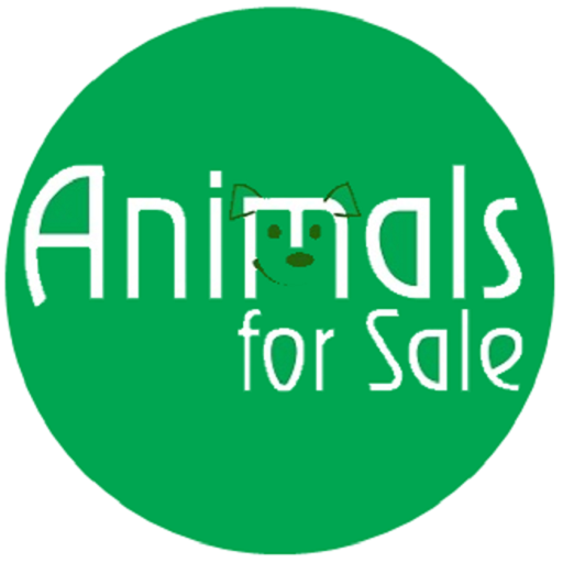 Animals for Sale - Brasil icon