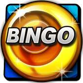 Bingo Pro - New US Bingo Games