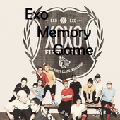 Exo Memory Game icon