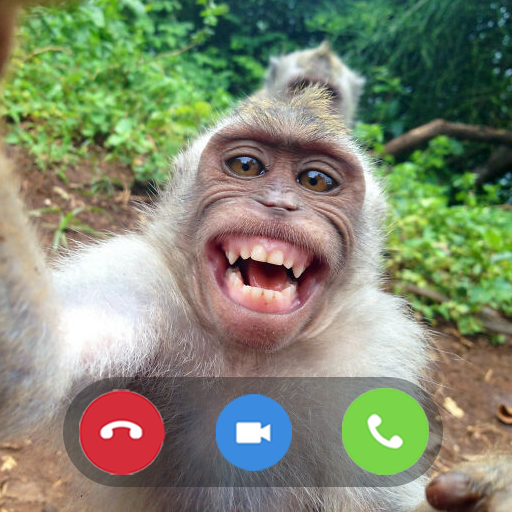 Funny Monkey Prank Video Call icon
