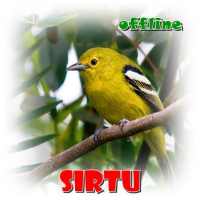 Kicau Sirtu Offline on 9Apps