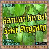 Ramuan Herbal Sakit Pinggang