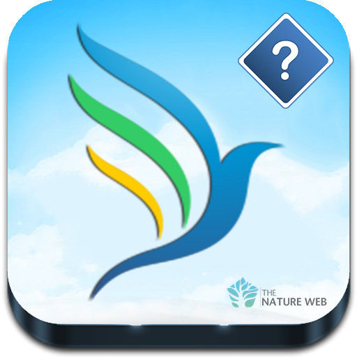 Guess the Bird - Photo Quiz icon