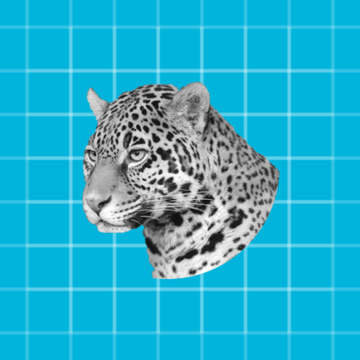 Mobile Wallpaper(Live Wallpaper) icon