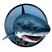 Piranha Shark Attacks icon