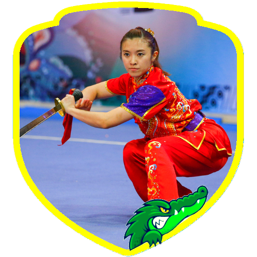 Wushu Training (Guide) icon