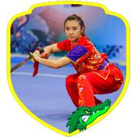 Wushu Training (Guide)