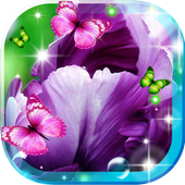 ikon Iris Music Live Wallpaper