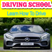 THEORY TEST  DRIVING SCHOOL icon