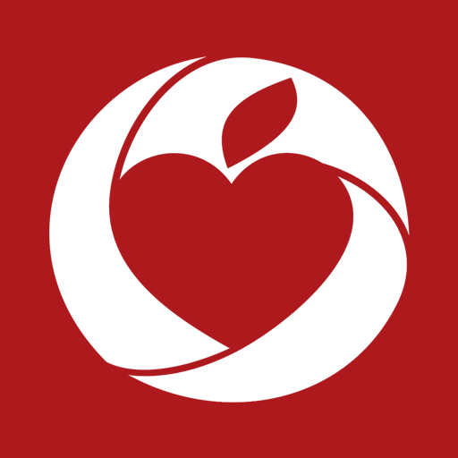 WebDiet Pro - App para profiss icon