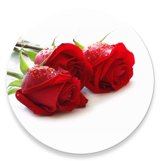 Flower Images أيقونة