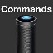 Commands for Microsoft Invoke App