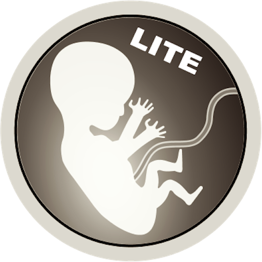 Gravidez ao Vivo LITE icon